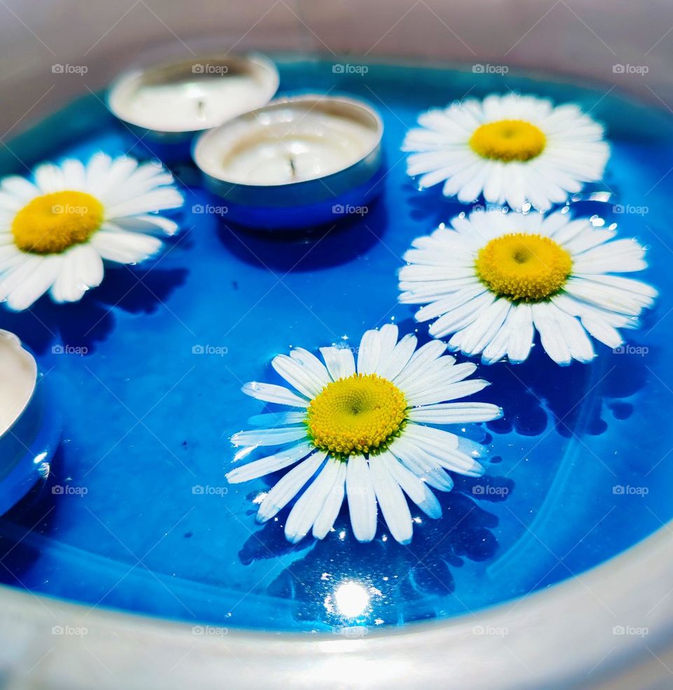 Daisy flowers and candles floating on blue water