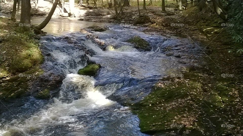Stream at Bushkill Falls