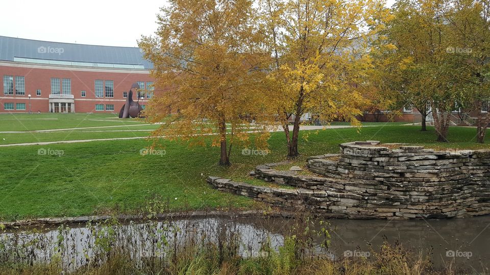 beautiful landscaping at a university in Illinois