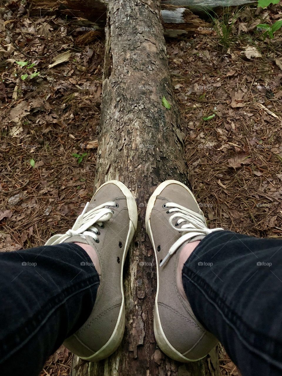 Pausing during walk in the woods 