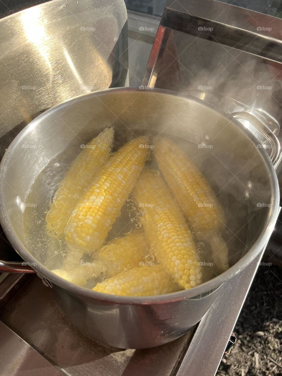 Corn 