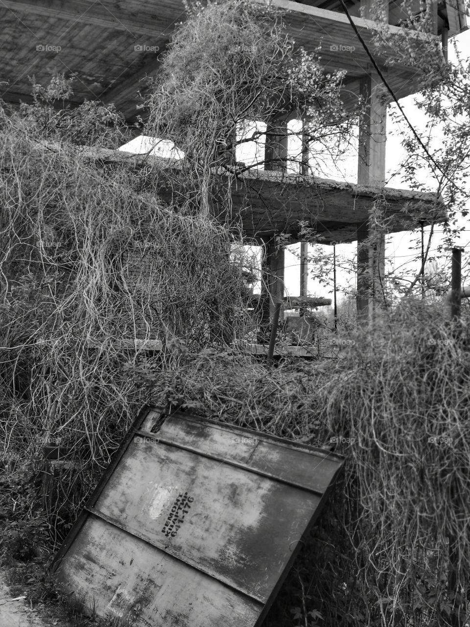 B&w architecture design view building way road decor interior exterior decoration design view beauty shades Light Black White construction