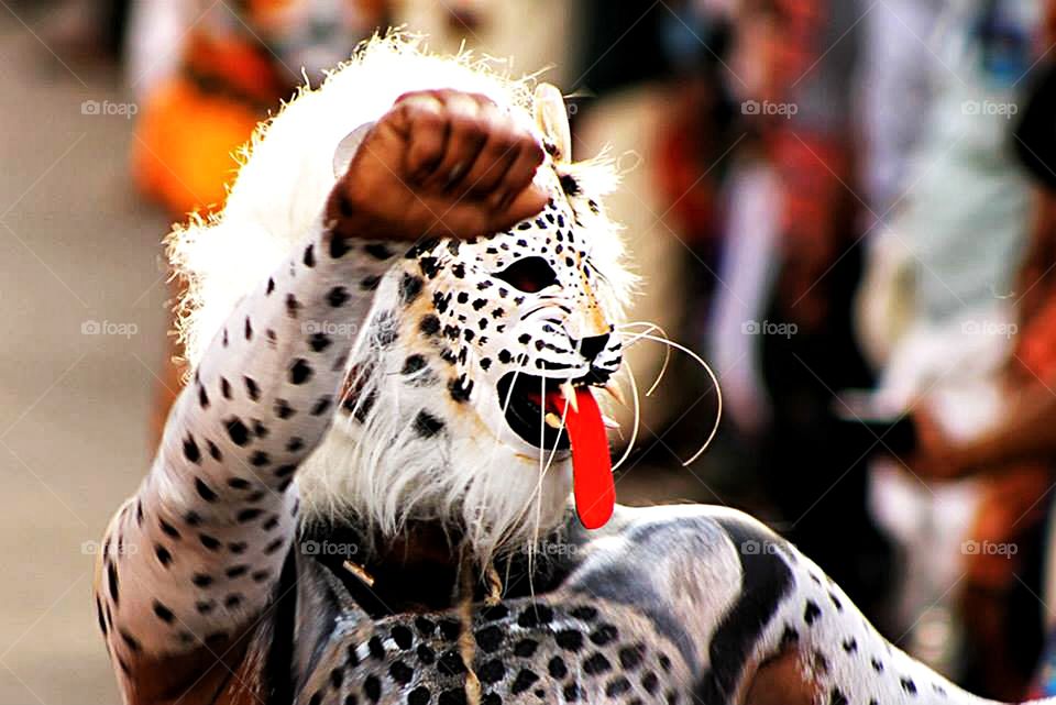 Festival in kerala- Grey leopard dressing