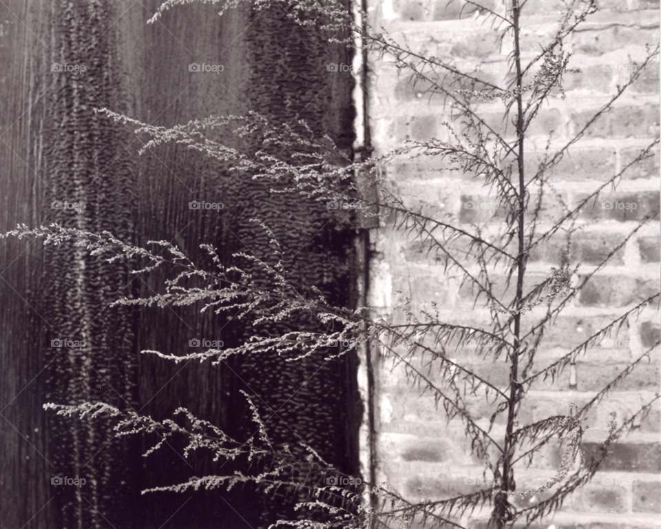 city gray ice urban by squishypie