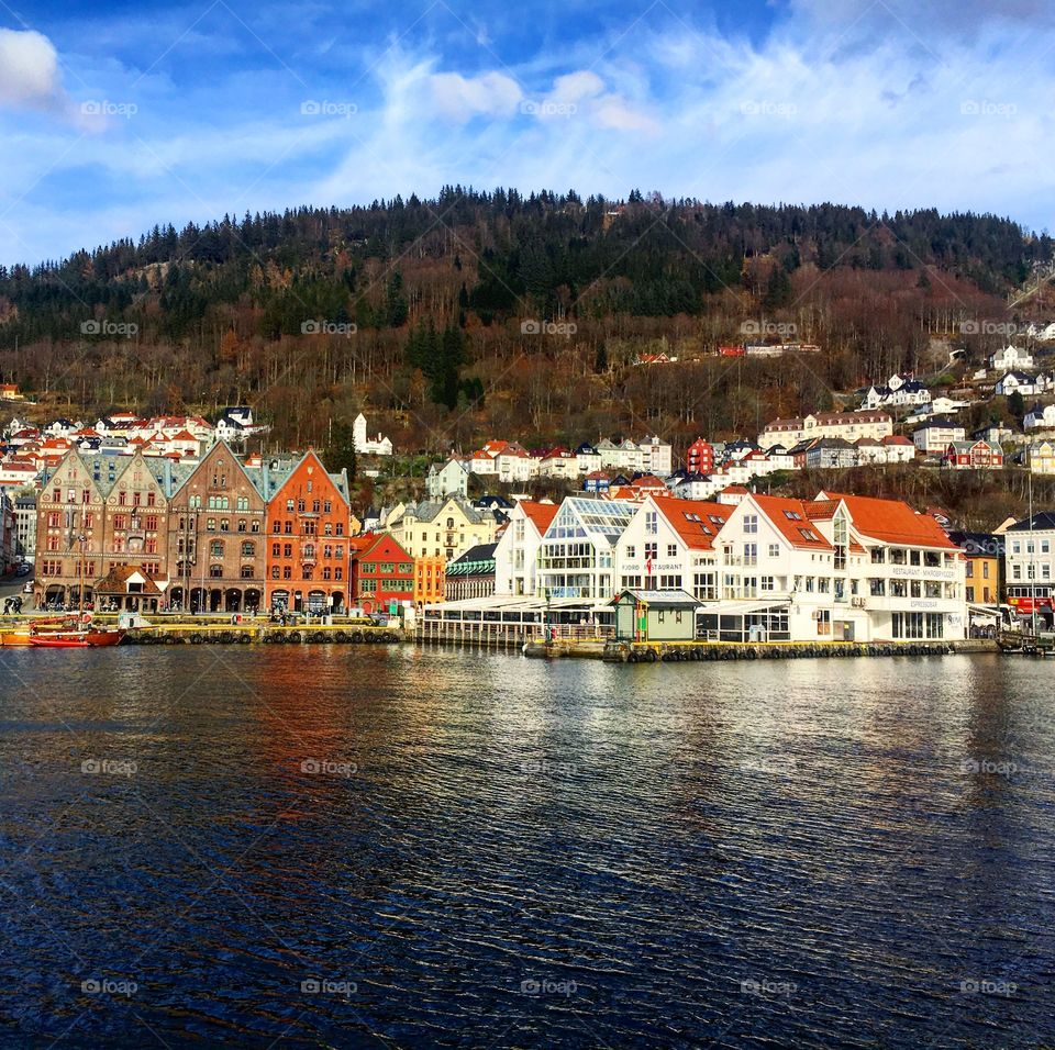 View of Bergen harbour 