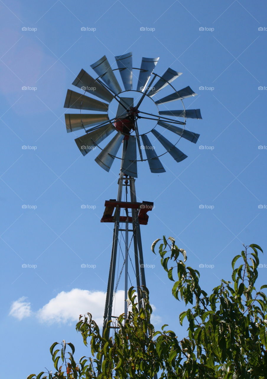 Windmill 