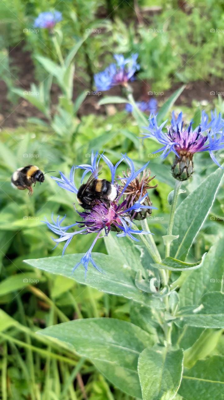 работяги красавчики 🎋