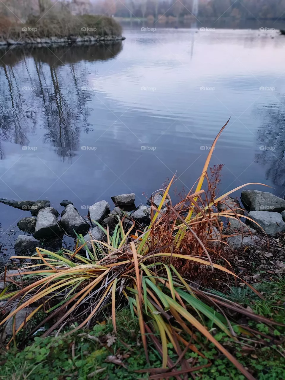 nature, water
