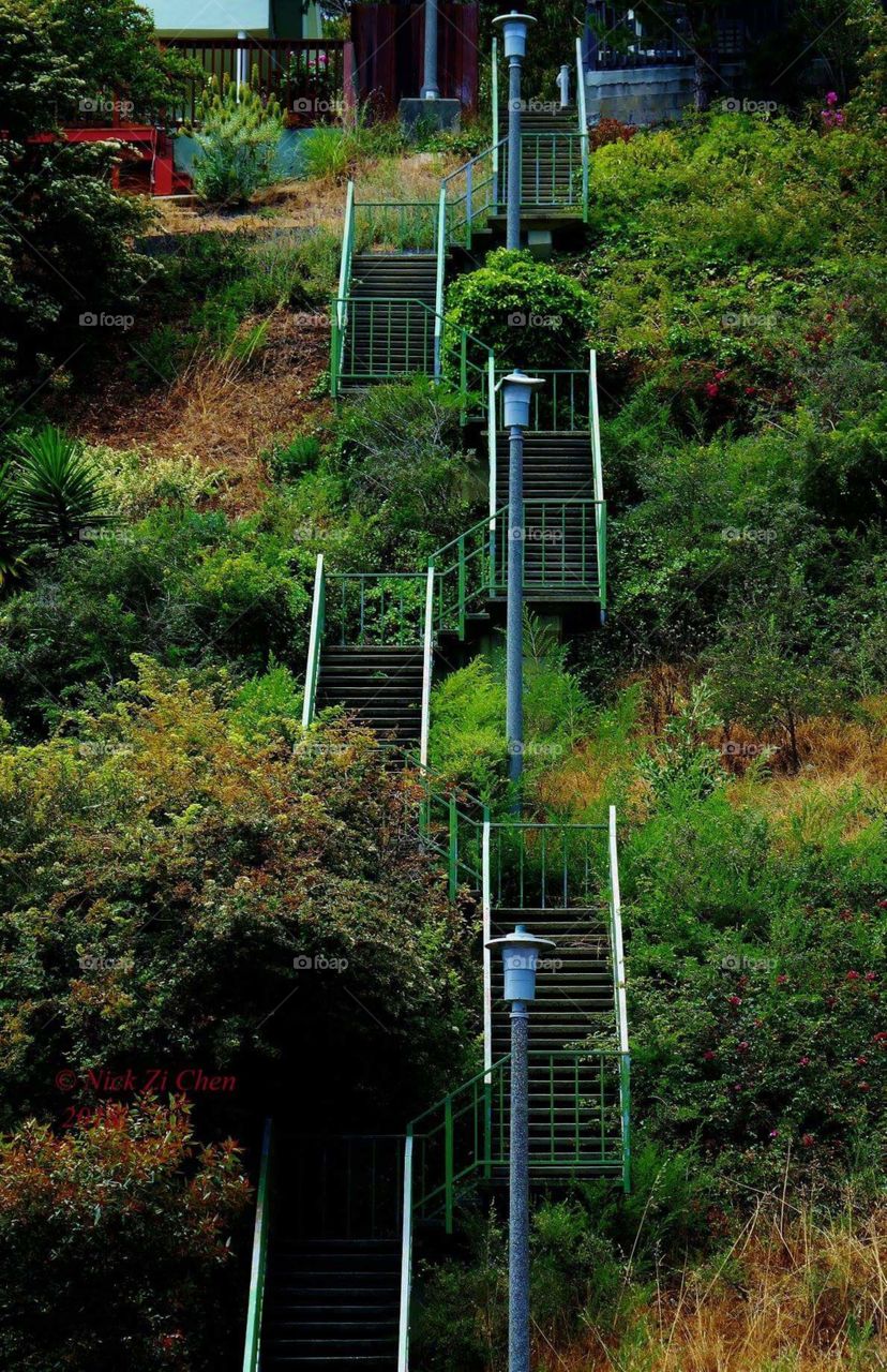 Want to hike these stairs?
