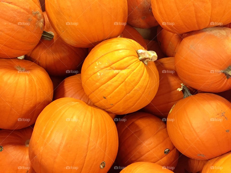 Pumpkins. A pile of pumpkins ready for carving for Halloween. 