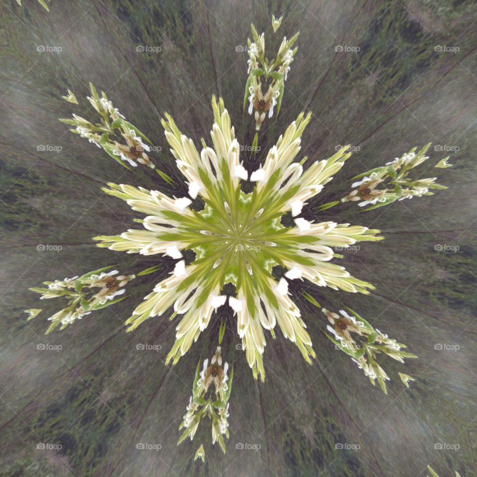 kaleidoscope design with flowers