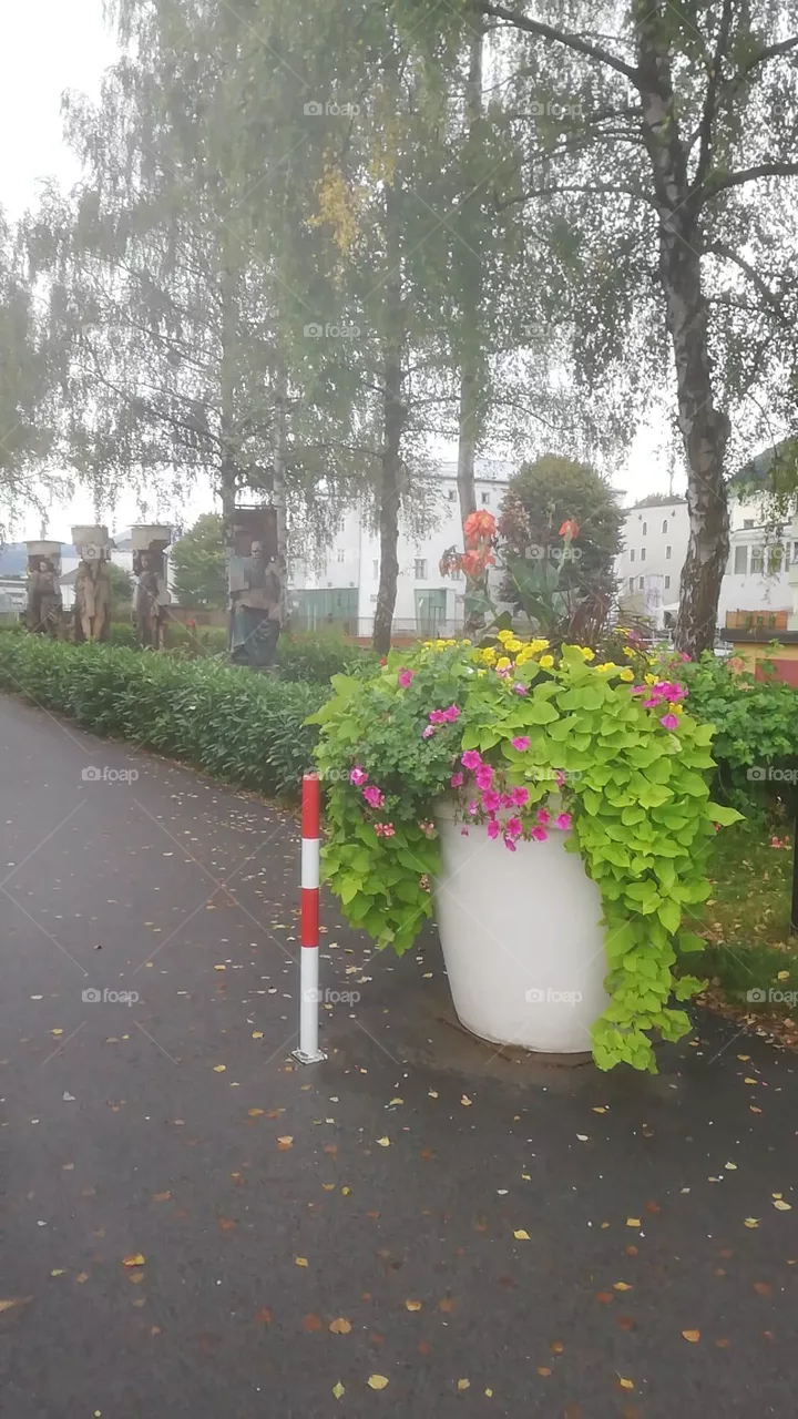 Fußgänger Straße 