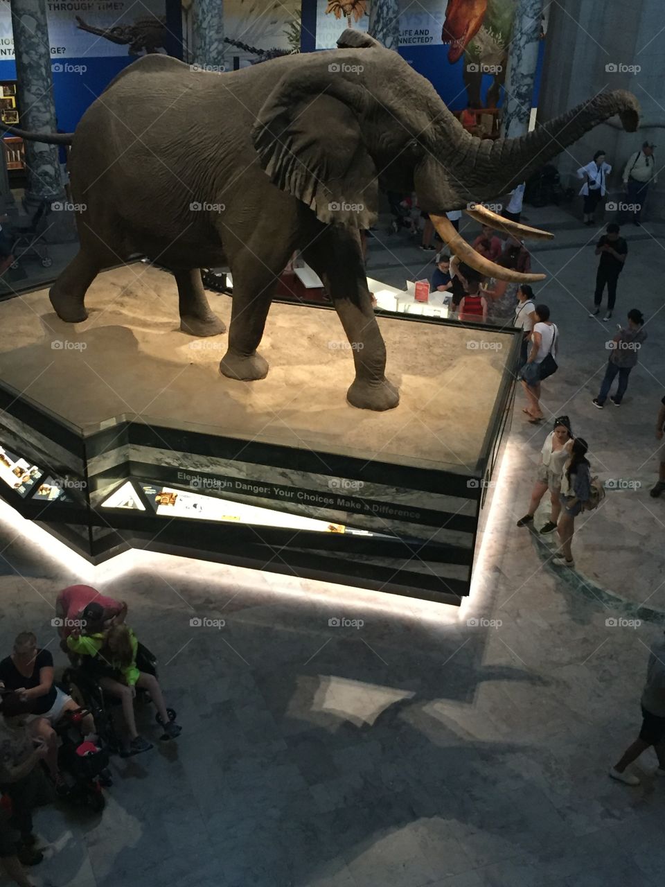 When the museum busier than you thought