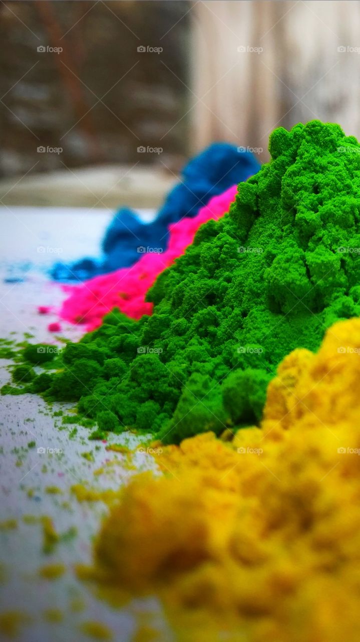Festival of colours : celebrate holi