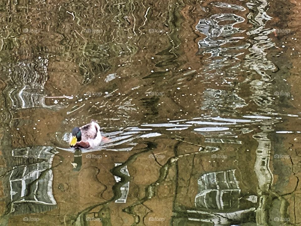 Water, Nature, River, Outdoors, People