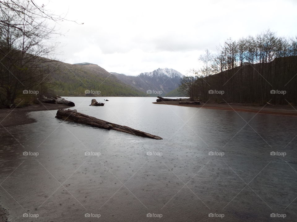 Mount Saint Helens wilderness