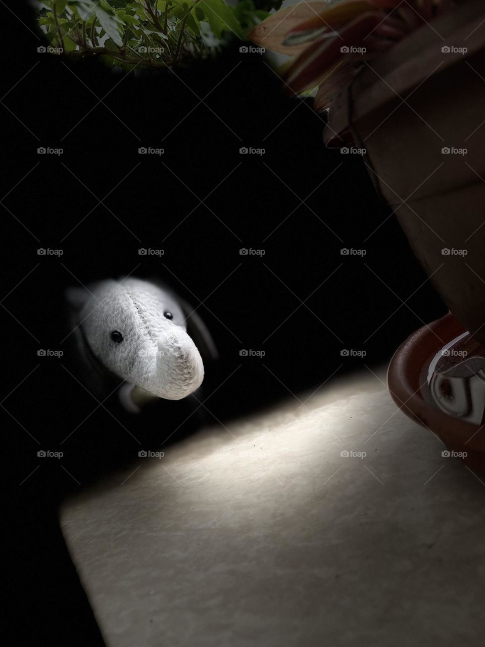 Elephant in darkness