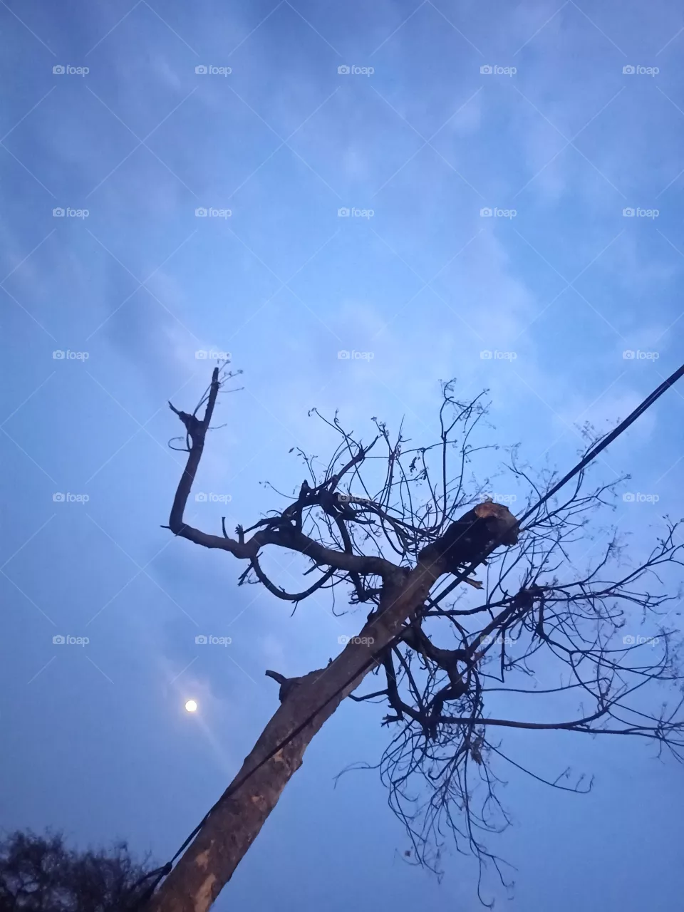 sky
