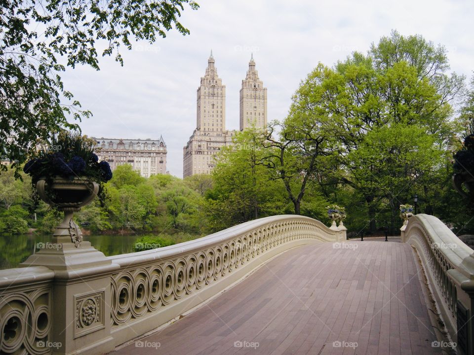 Bow Bridge Central Park 