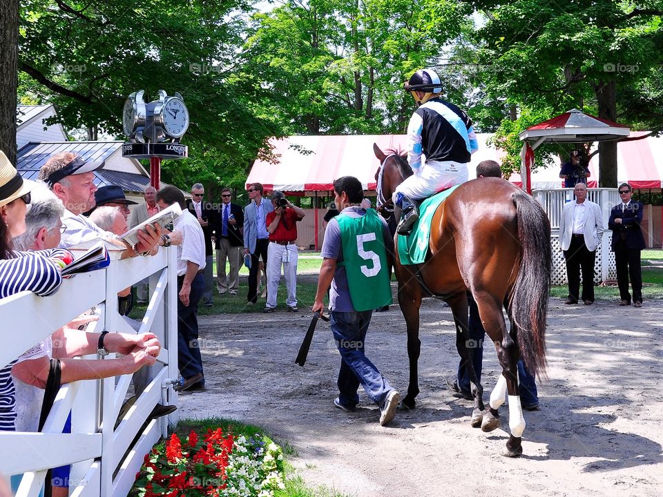 Going to the Post. First time starter "Feathered" an expensive yearling purchase for team Pletcher makes her debut at Saratoga. 
Fleetphoto