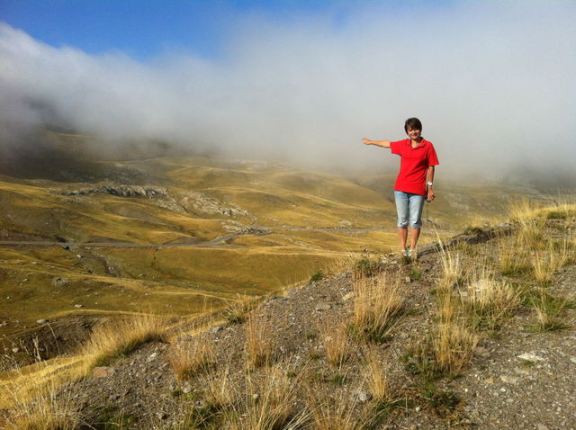 Freedom 