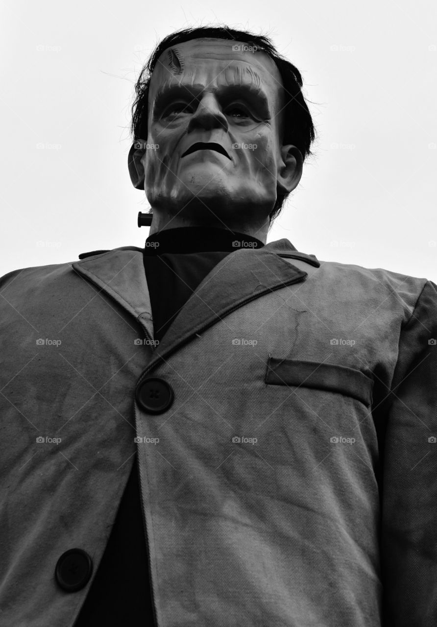 Frankenstein in black and white