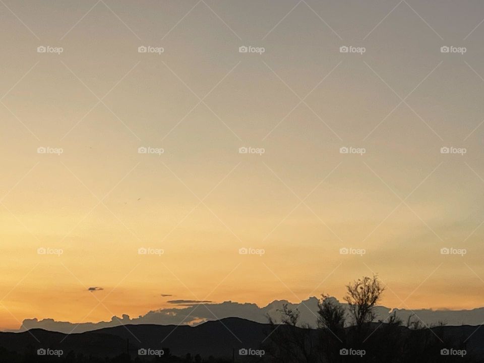 A yellow and orange sunset with tree branches and mountains.