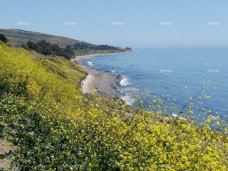 Yellow by the beach..