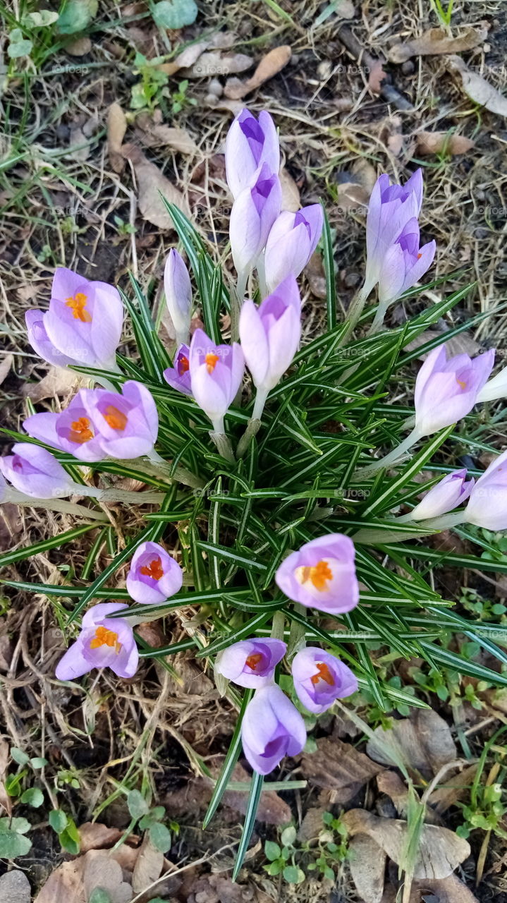 Frühling in Thüringen