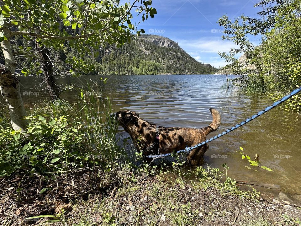 Beautiful British Columbia Canada 