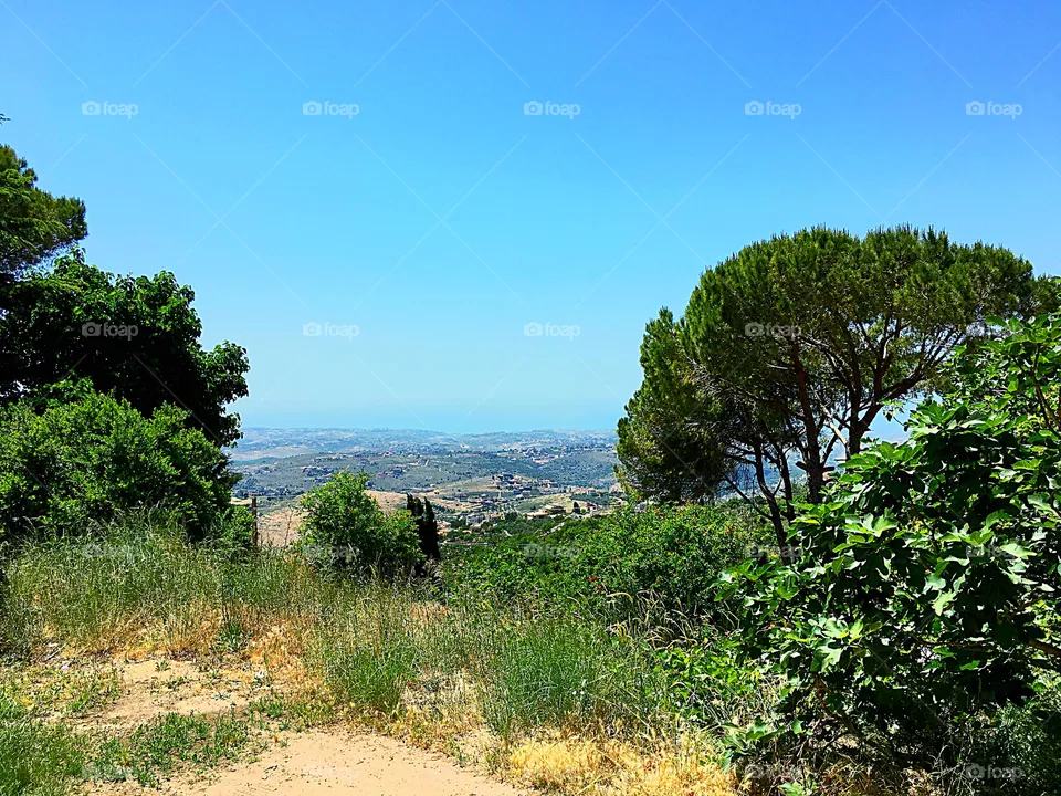 Valley view