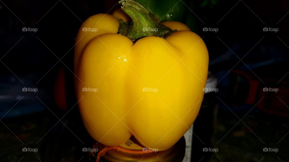 Close view of yellow bell pepper