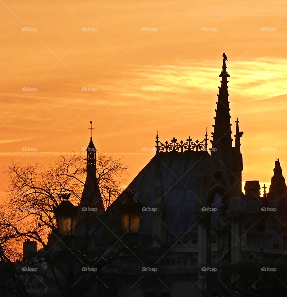 Silhouette of Norte-Dame Cathedral - I love this photo - my photos have the ability to communicate with the viewer by telling a story through their composition, lighting, and most importantly their subject matter