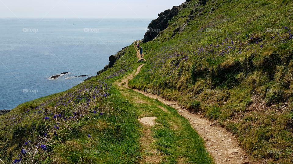 Coast path