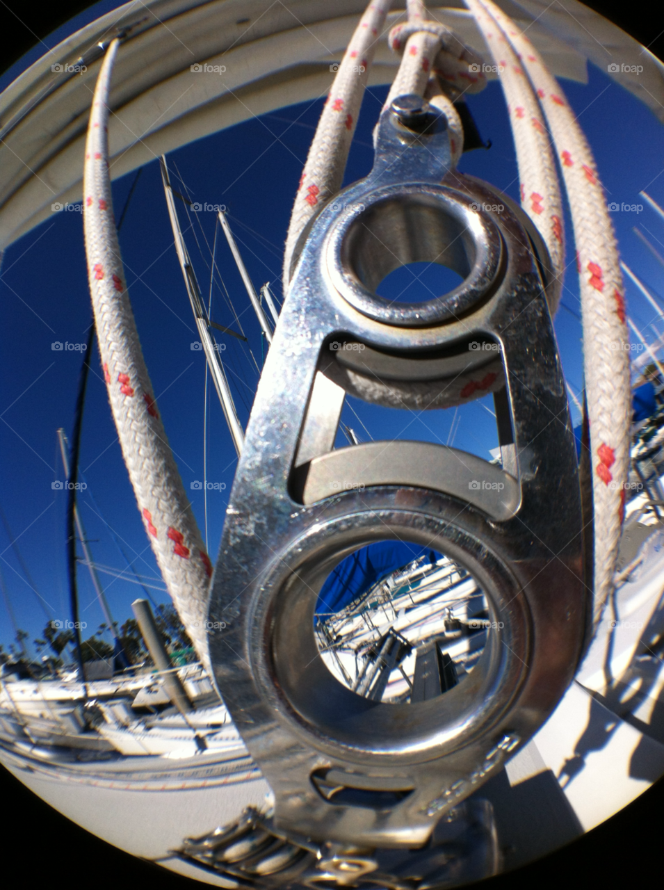 fish marina sail fisheye by daflux