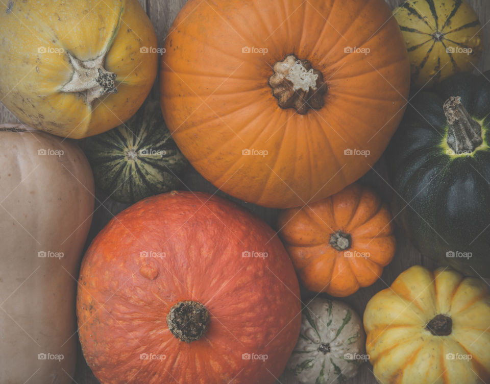 A selection of different pumpkins, gourds and winter squash in a full frame food background image