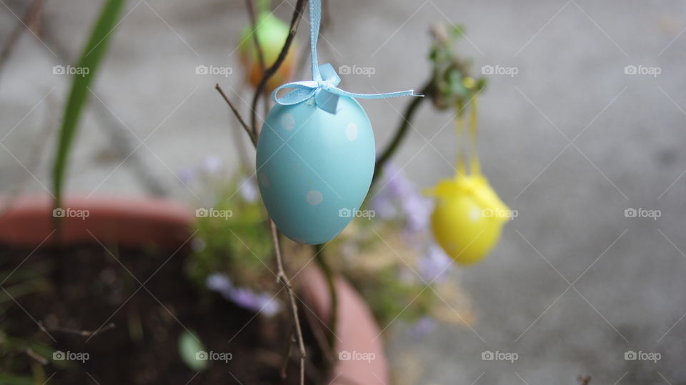 easyer egg hanging on branch