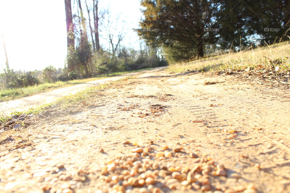 dirt road. one of alabama's many dirt roads