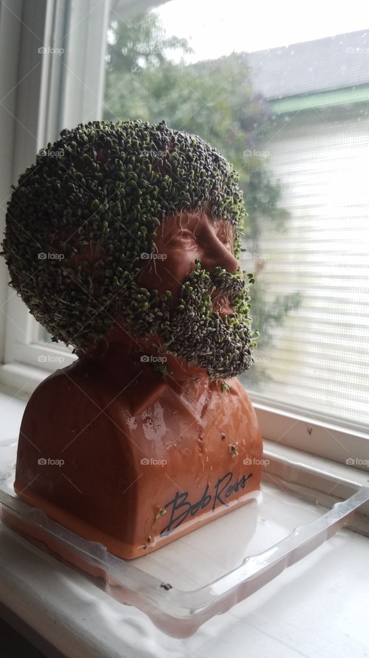 Bob Ross Chia Pet