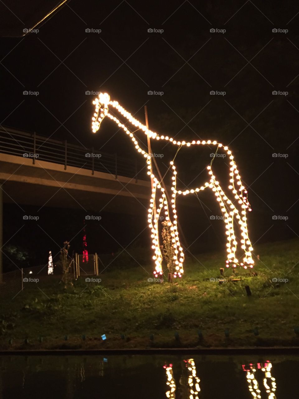 Light Girraffe. Light show in the Zoo