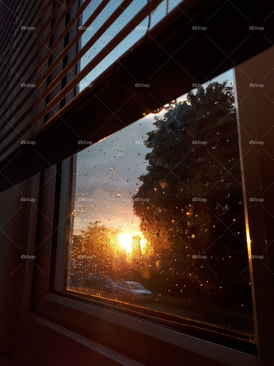 Evening sunlight through window