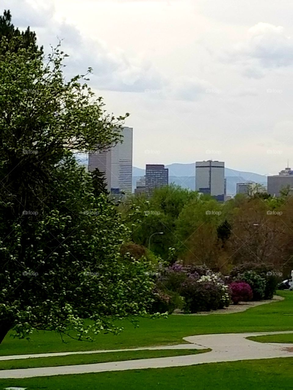 Denver Skyline