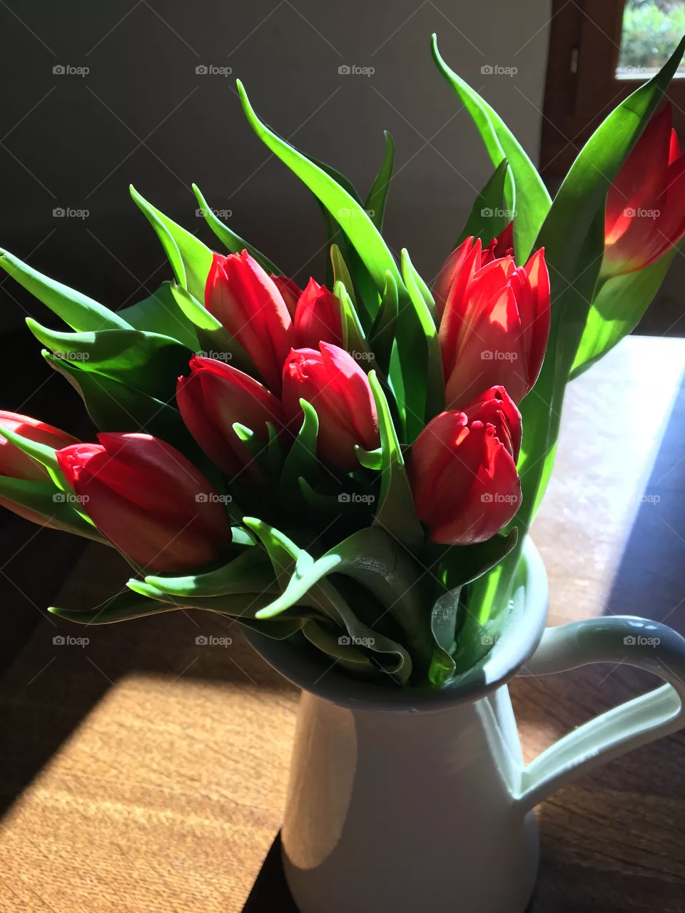 Red Tulips