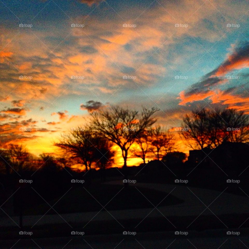 Be still my heart..: