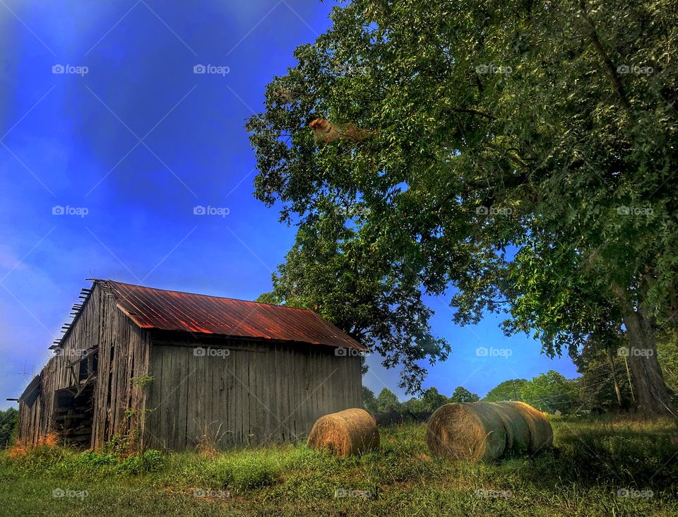 Barn And Hay