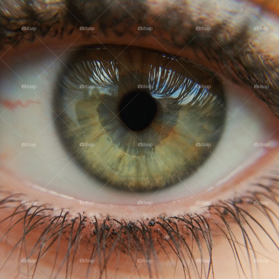Focus in Green eye