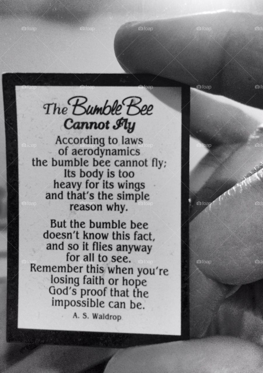 The bumble bee