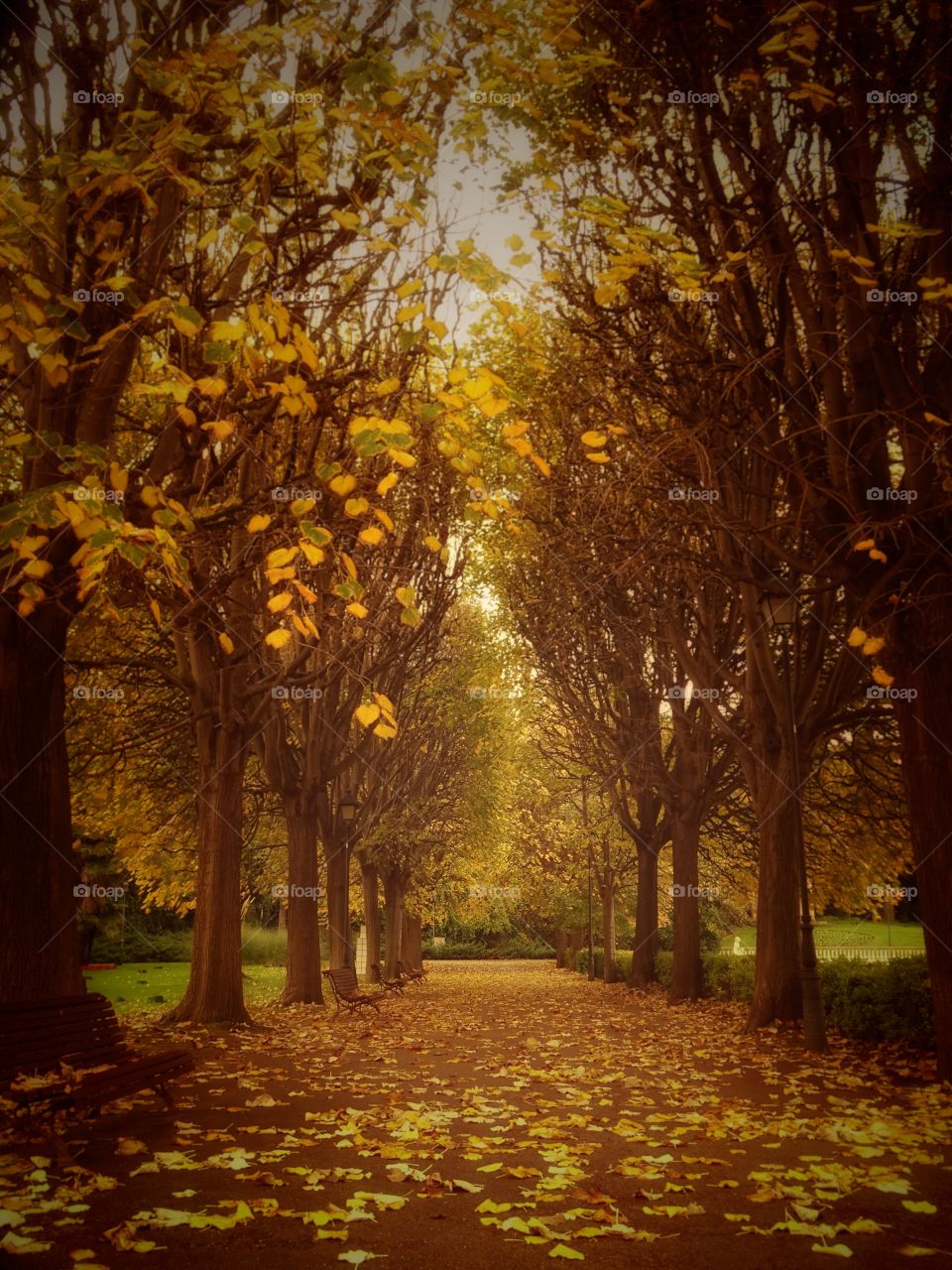 It will be that autumn comes