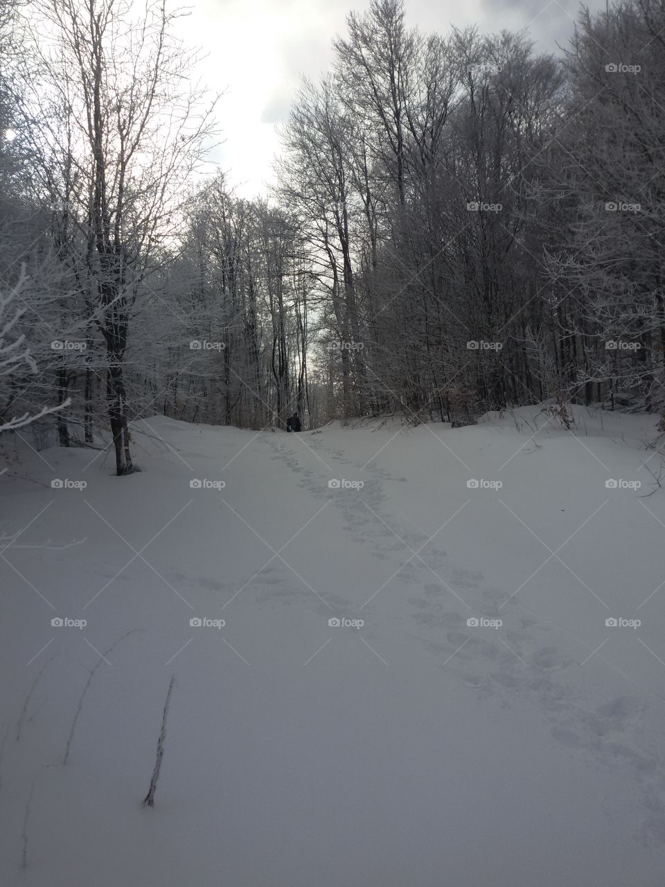 snow time, winter sports, snowy mountain, cold weather, winter landscape