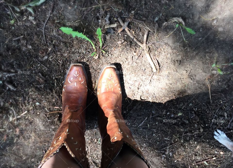 Grounded Boots and Paw